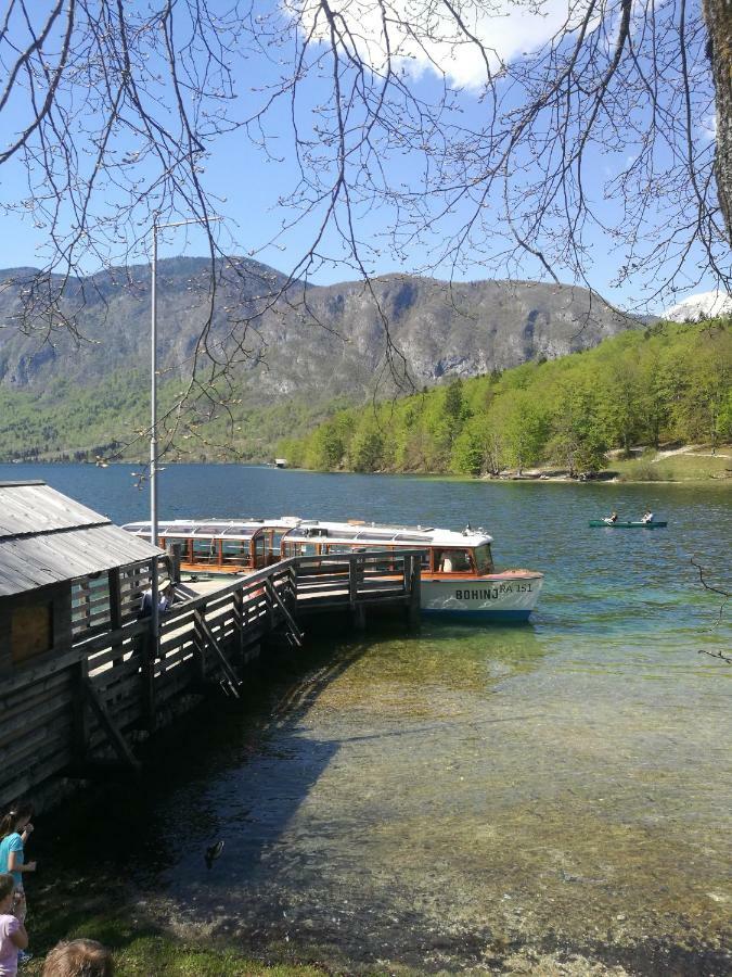2 Studio & Apartment Cvetek Bohinj Zewnętrze zdjęcie