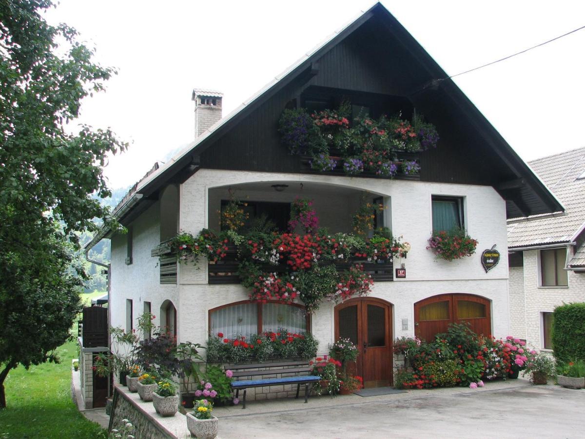 2 Studio & Apartment Cvetek Bohinj Zewnętrze zdjęcie