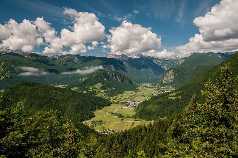 2 Studio & Apartment Cvetek Bohinj Zewnętrze zdjęcie
