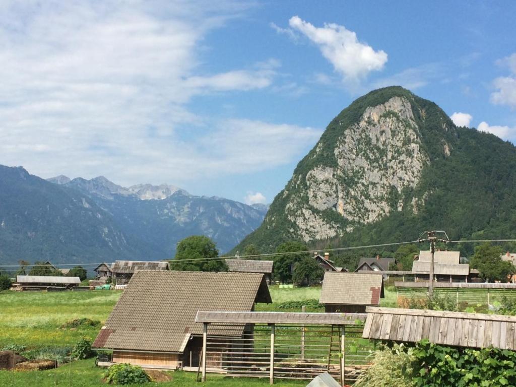 2 Studio & Apartment Cvetek Bohinj Zewnętrze zdjęcie